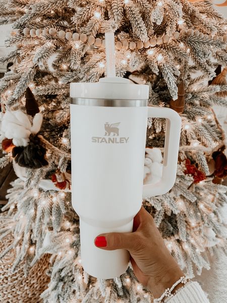 Not sure what to gift someone on your list this year? The @stanley_brand tumbler #ad is the perfect gift and there’s a reason why everyone is talking about it and it keeps selling out! It fits in the car cup holder, keeps your water ice cold even the next day and it holds a lot so you’re ensuring you’re getting enough water without having to constantly fill it up.  I couldn’t love it more and know you will too! 
