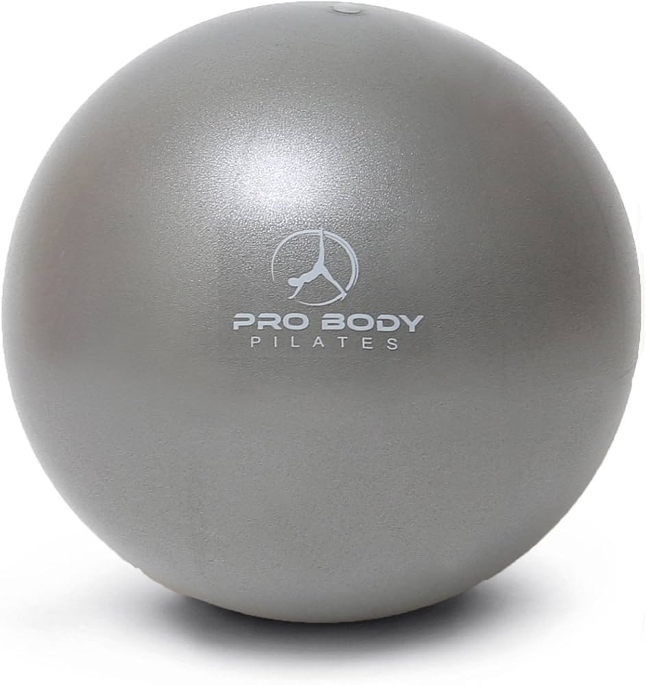 ProBody Pilates Small Exercise Ball - 9 Inch Workout Ball for Stability, Barre, Yoga, Core & Phys... | Amazon (US)
