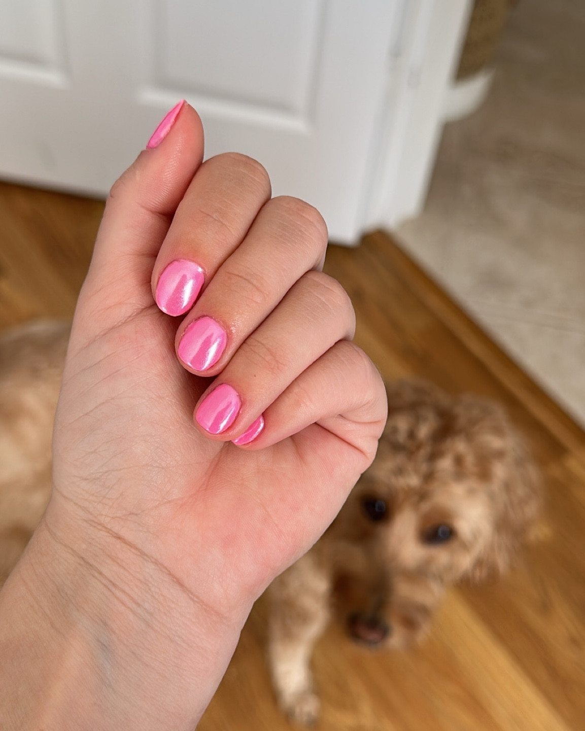 Pink chrome nails

Glazed nails, glazed donut, dip nails, sns nails, powder dip, nails at. Home, diy nails

#LTKbeauty