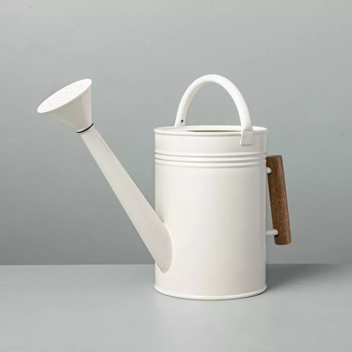 Steel Watering Can with Wood Handle Sour Cream - Hearth & Hand™ with Magnolia | Target