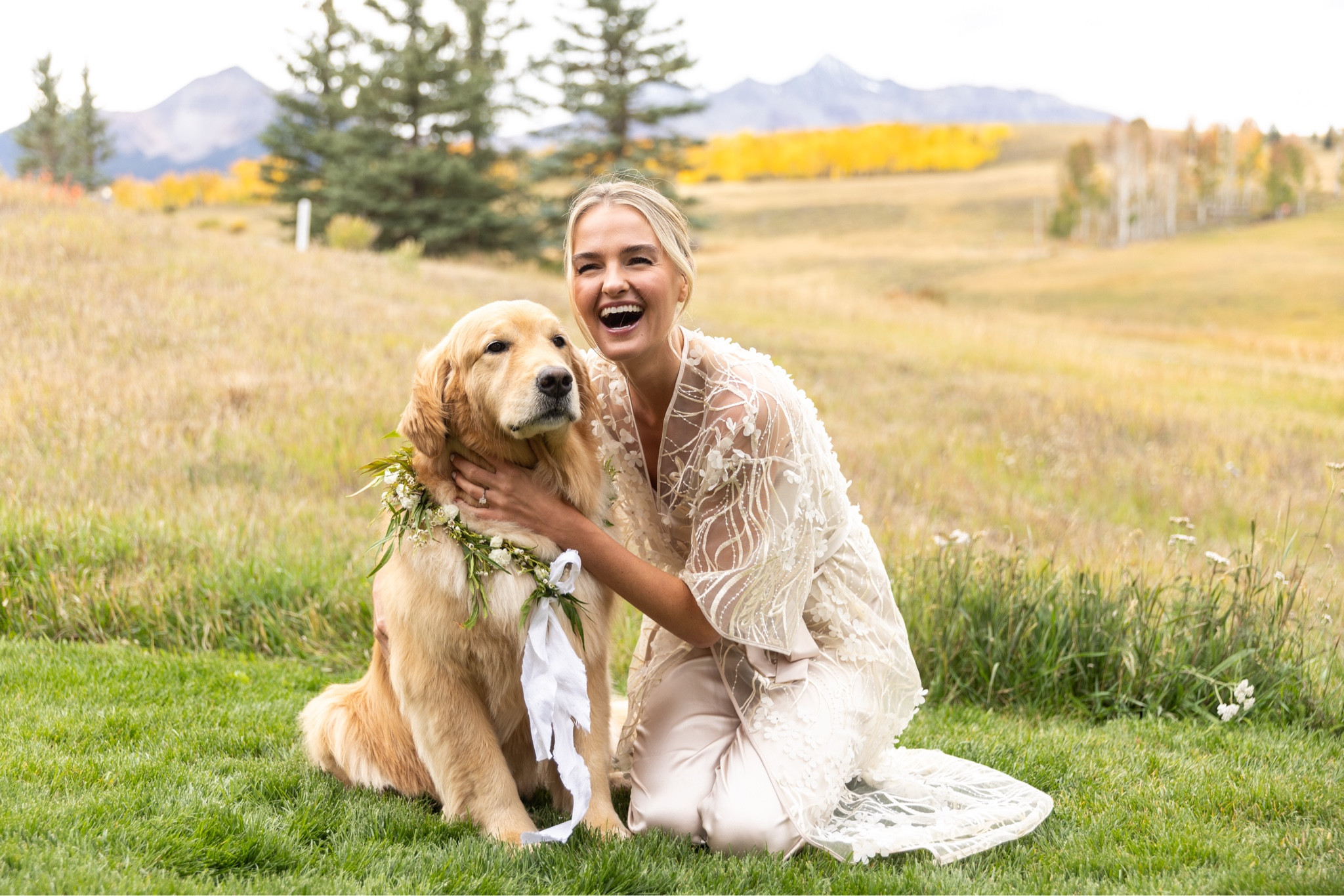 Dog accessories for your wedding! Flower collars, bow ties, and bandanas 🐾

#LTKFindsUnder100 #LTKFindsUnder50 #LTKWedding