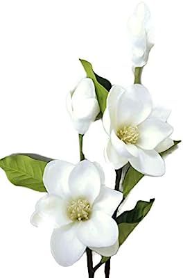 Floral Kingdom 25" Real Touch Artificial Magnolia Flowers for Foral Arrangements, Gift Wrapping, ... | Amazon (US)