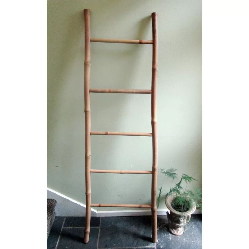 5' Bamboo Ladder, 19"W X 60"H | Wayfair North America