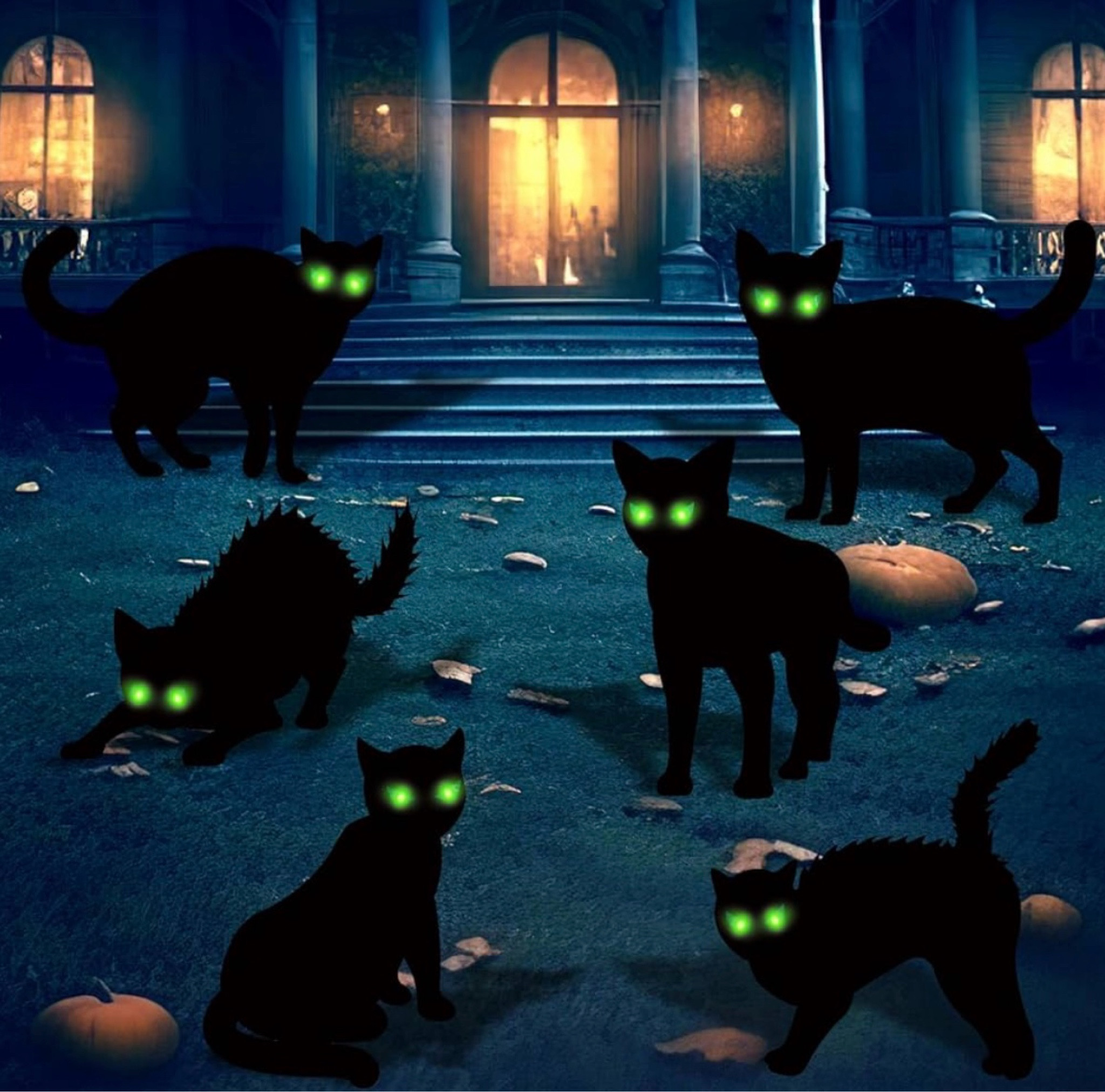 Halloween fun!

#halloween 

#LTKHome #LTKSeasonal #LTKStyleTip