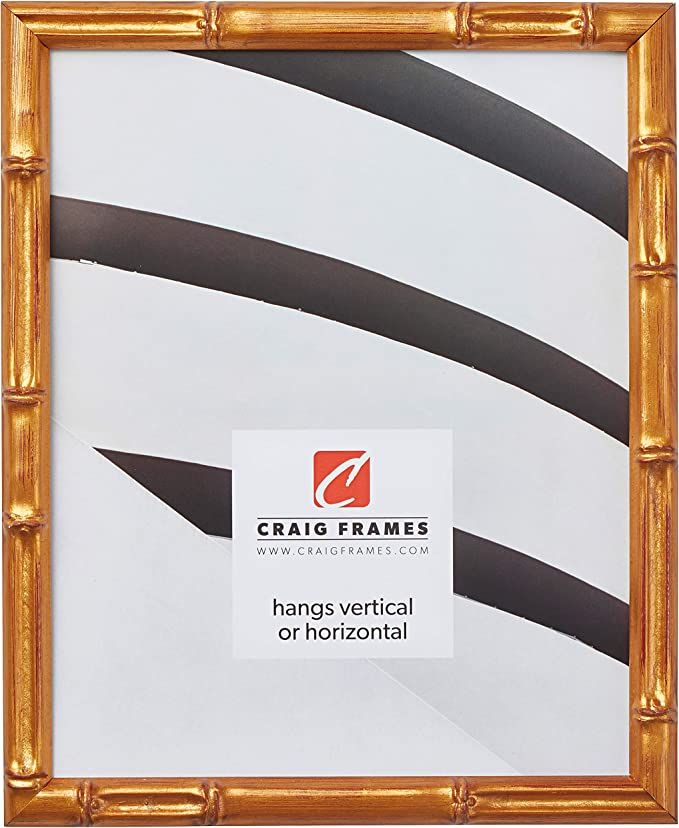 Craig Frames Vintage Gold Bamboo Composite Picture Frame, 12 by 16-Inch | Amazon (US)