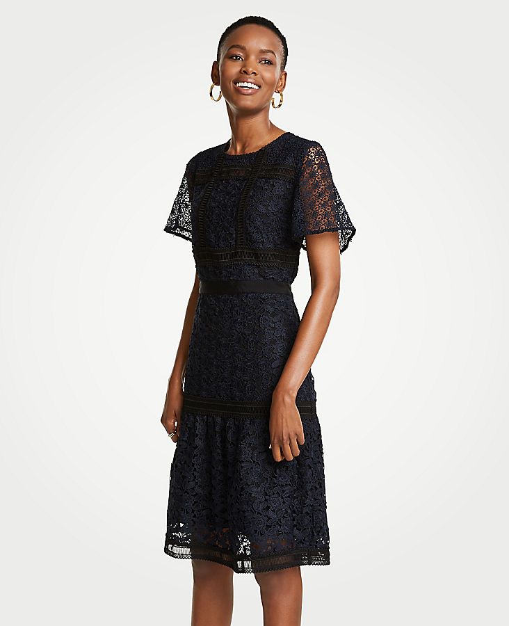 Petite Mixed Lace Flare Dress | Ann Taylor (US)