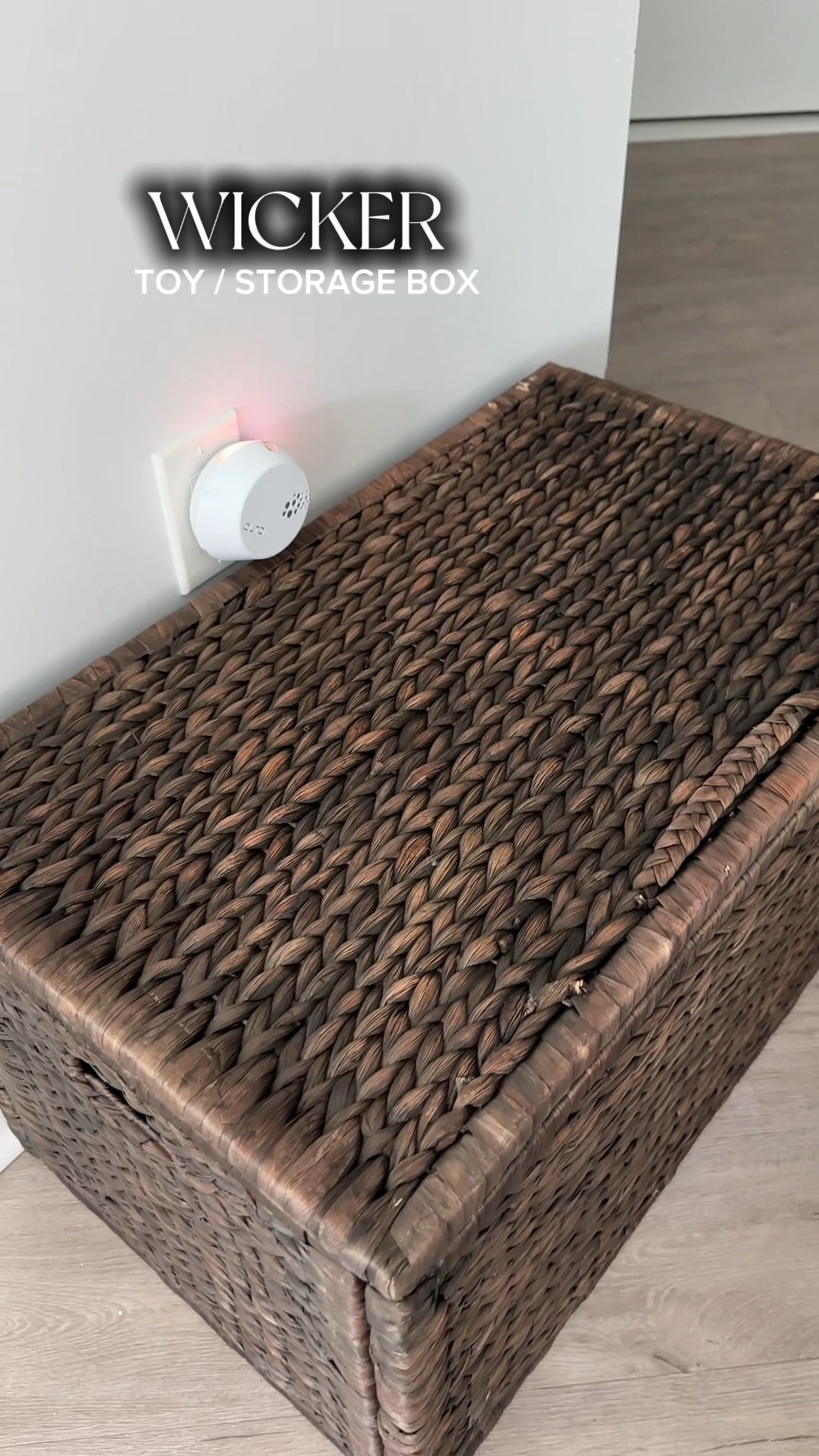 Such an Aesthetic wicker toy box- Comes in many sizes and shades 

#LTKU #LTKHome #LTKBaby