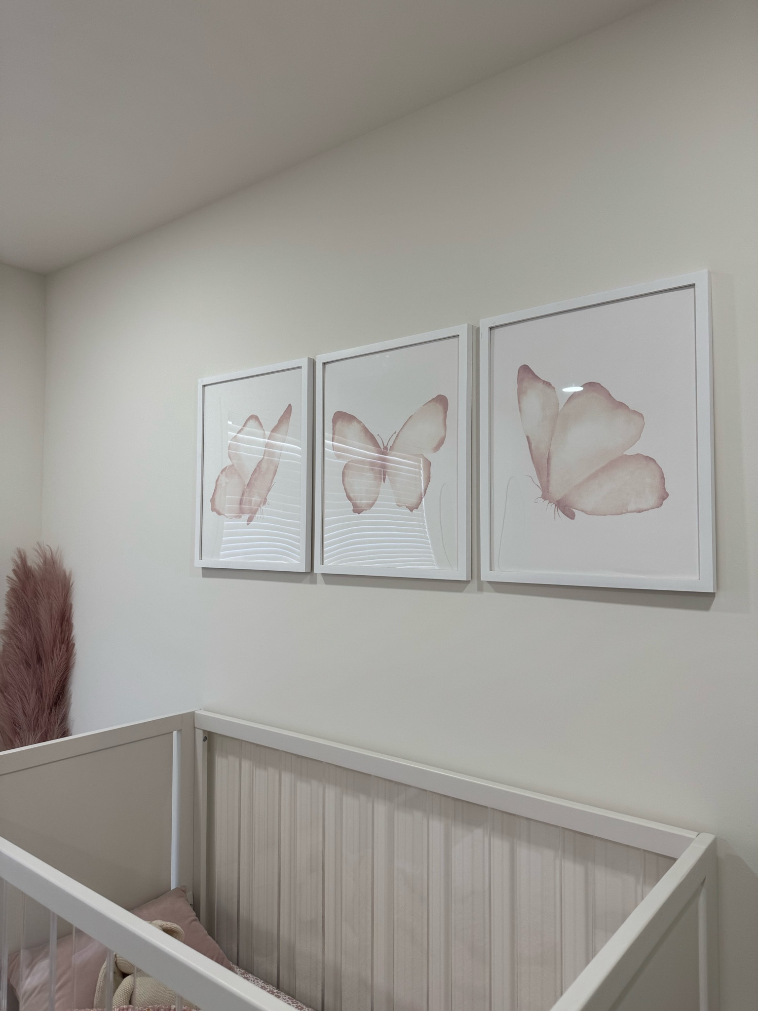 nursery butterflies 🦋 