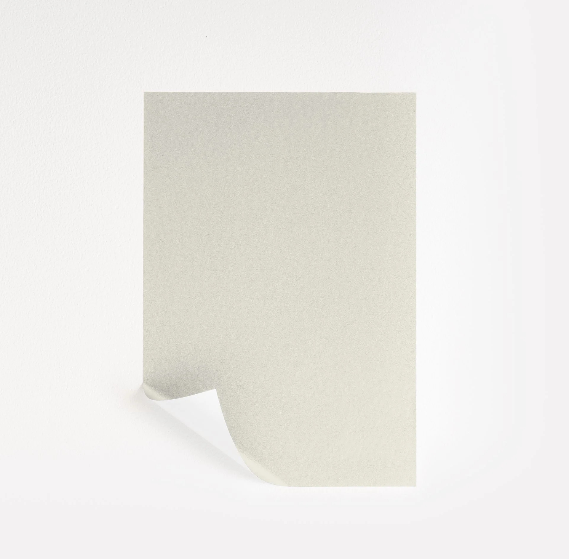 Alabaster | Samplize