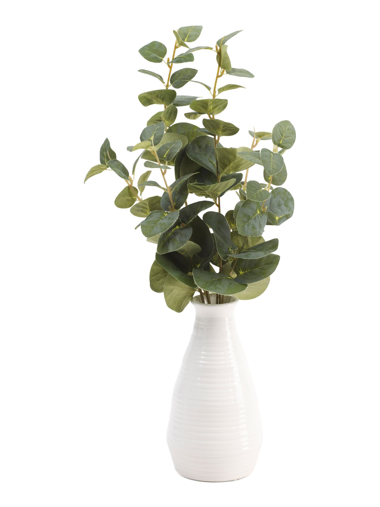 Eucalyptus Stems In Fluted Vase | TJ Maxx