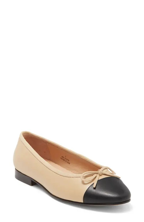 Jeffrey Campbell Arabesque Ballet Flat in Natural Black at Nordstrom, Size 7.5 | Nordstrom
