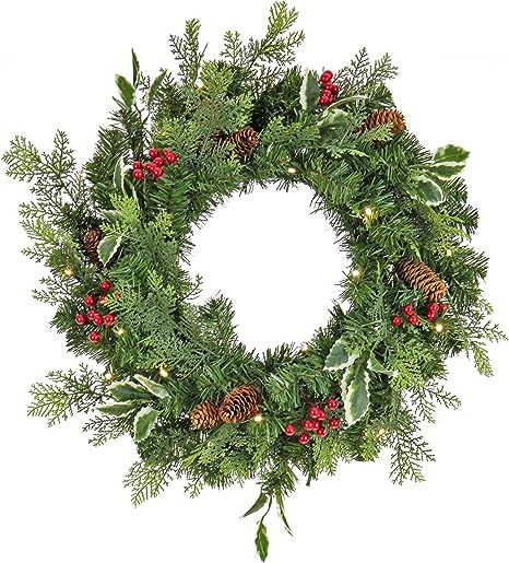 National Tree Company First Traditions Pre-Lit Christmas Evergeen Wreath with Pinecones and Berri... | Amazon (US)