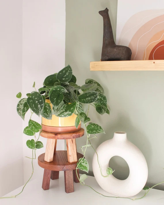 Round  Handmade Wooden Decorative Stool | Plant Stool | Decorative Stool | Plant Stand | Decorati... | Etsy (US)