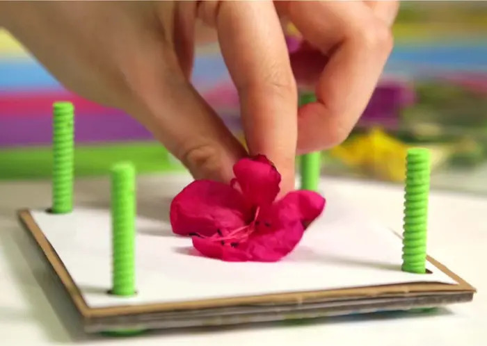 Green Creativity Pressed Flower Art Diy | Nordstrom