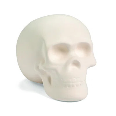 DIY Ceramic Skull | Wayfair Professional