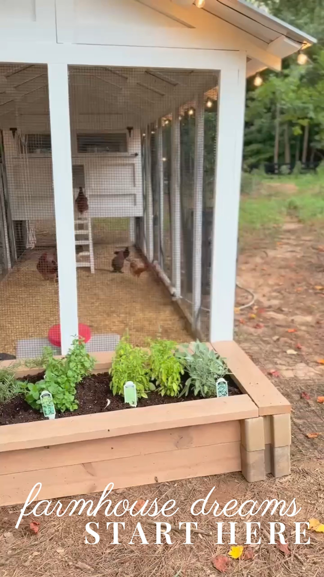 Welcome to our little slice of backyard paradise 🐓✨ From a cozy white chicken coop to a raised herb garden full of rosemary, basil, sage & mint—this space is both charming and functional 🌿🌞 Whether you’re dreaming of fresh eggs or growing your own kitchen herbs, this is country living done right.

#porcheandco #backyardchickens #raisedbedgarden #chickencoopdesign #herbgarden #backyardgoals #farmhousevibes #ltkhome #gardeninspo #countrychic


#LTKHome #LTKStyleTip #LTKOver40