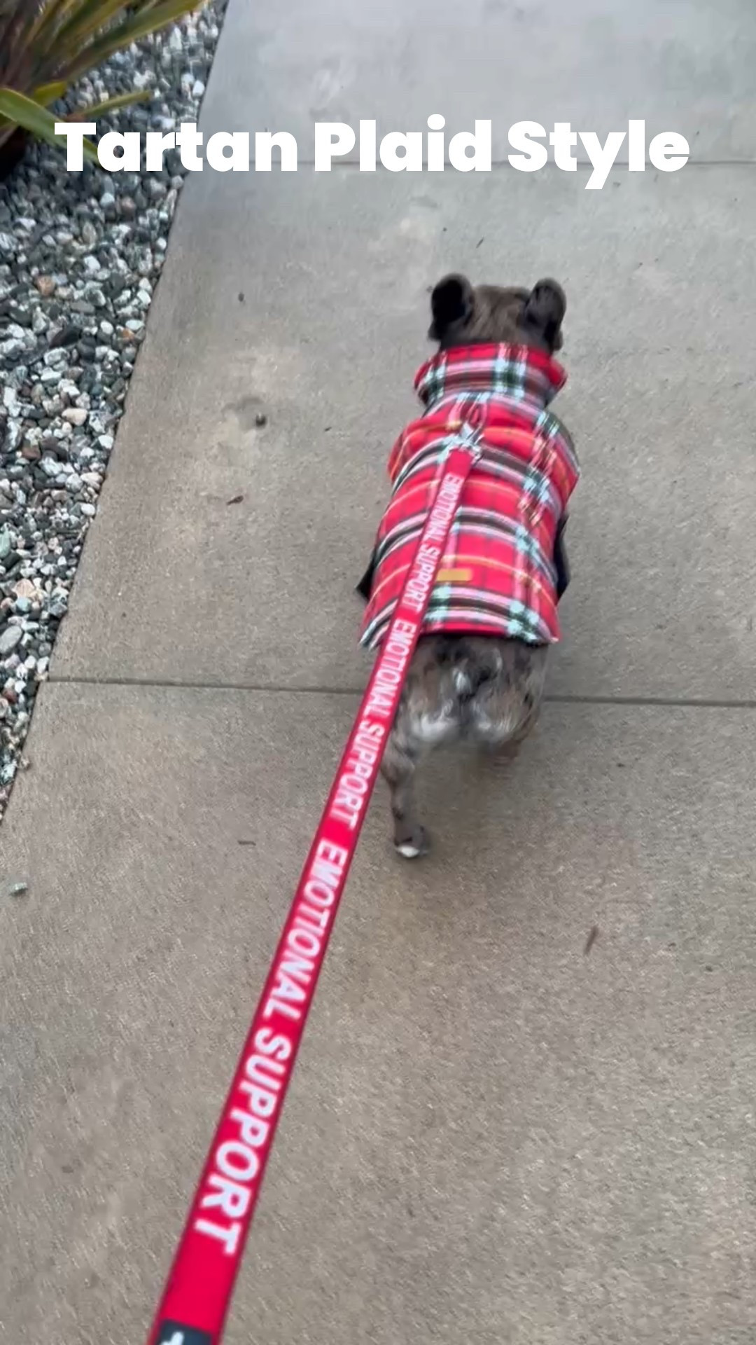 Tartan is one of the hottest trends for the holiday season. Don’t miss the affordable #Tartan Trends for holiday style now  #maxxfinds. 

#LTKFindsUnder50 #LTKHoliday