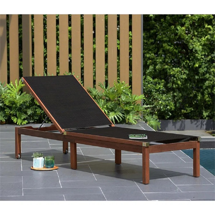 Medrano Reclining Teak Chaise Lounge with Cushion | Wayfair Professional