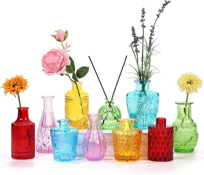 BIGIVACA Set of 10 Glass Bud Vases,Small Vases for Flowers,Colorful Single Bud Vases in Bulk,Mini... | Amazon (US)