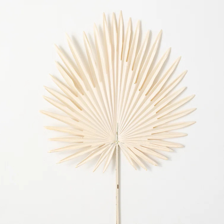 Lissa Palm Arrangement | Wayfair North America