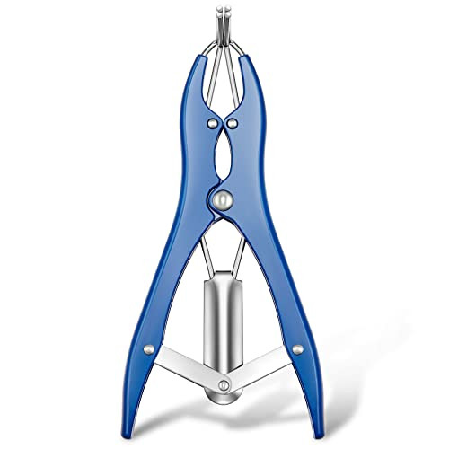 Minatee Balloon Expander Pliers Balloon Stuffing Tool Blue Stainless Steel Balloon Stretcher Sequin Filling Pliers for Filling Balloon Sequins Petals Home Party Activities(Extended Style) | Amazon (US)