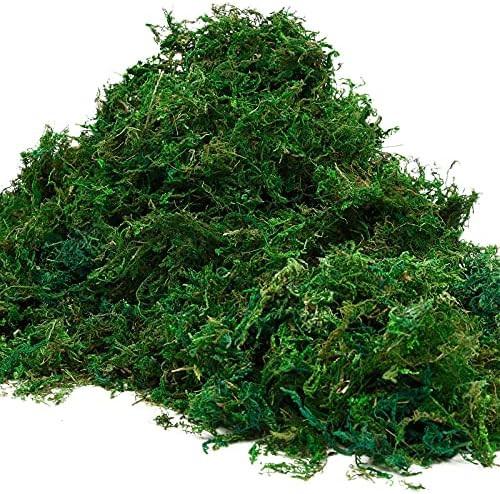 Artifical Fake Moss, 10.6 OZ/300G Green Dried Moss, Craft Moss for Plant Potted Plants Flower & Gard | Amazon (US)
