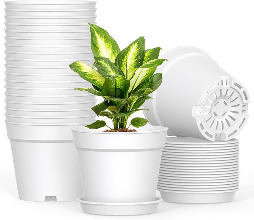 SwinDuck 20 Pack 6 Inch Plant Pots with Drainage and Saucers, White Plastic Flower Pots for Indoo... | Amazon (US)