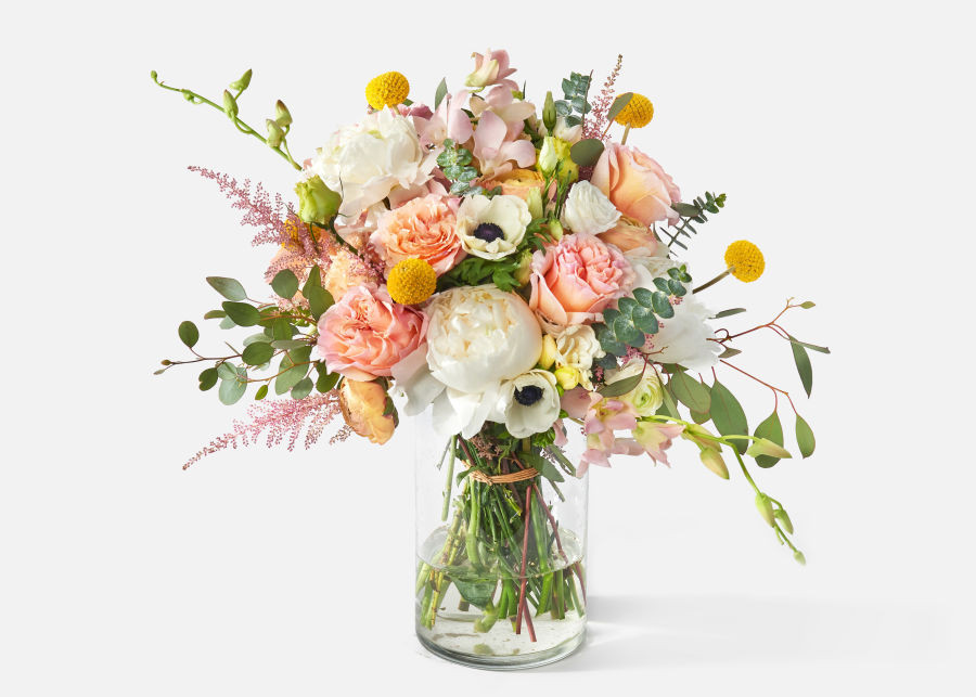 The Reina | UrbanStems