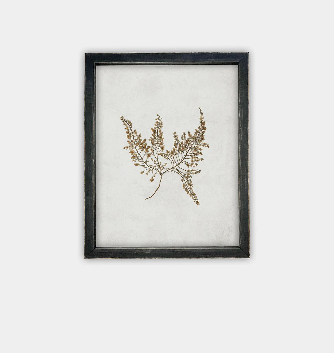 Amber Interiors | Amber Interiors