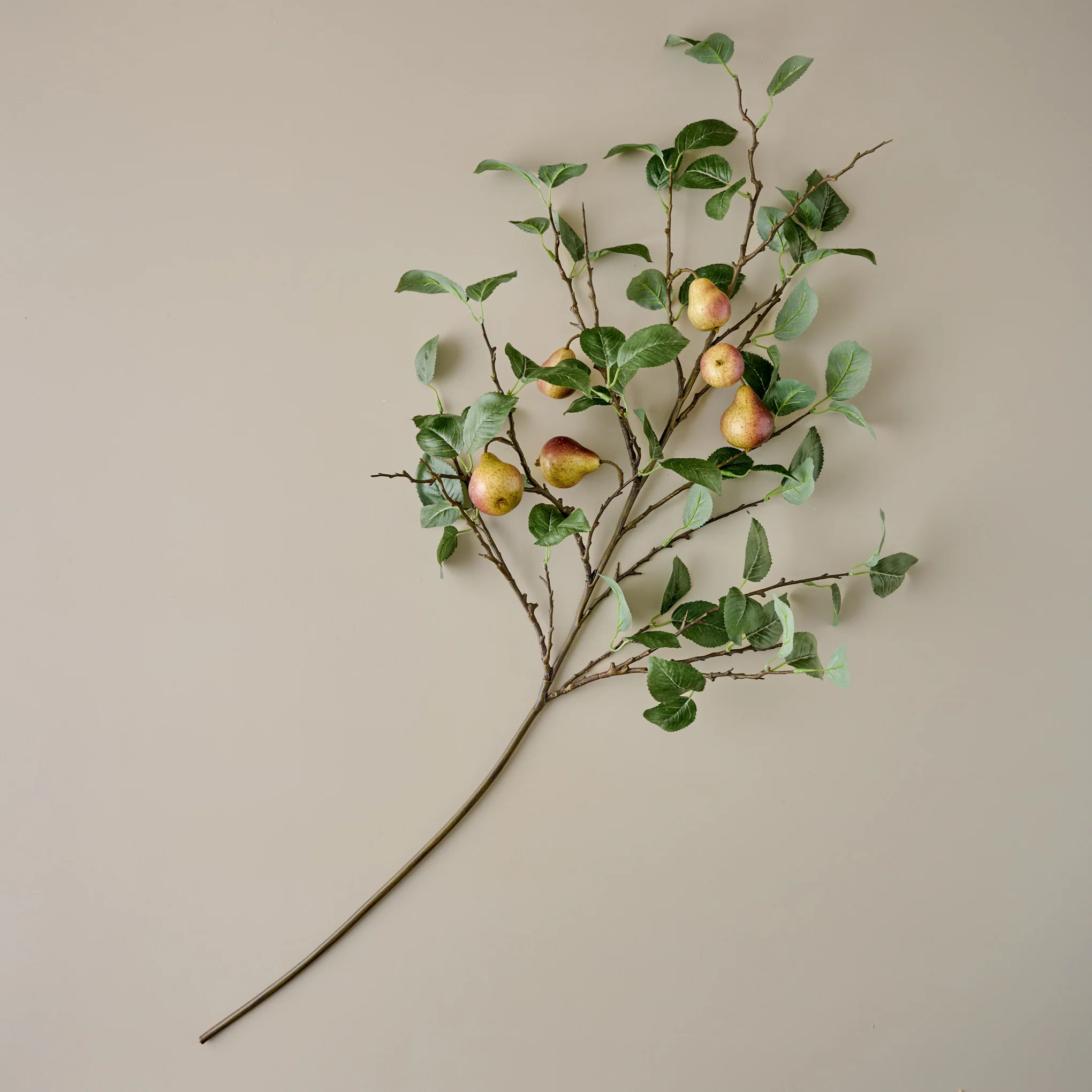 Oversized Autumnal Pear Stem | Magnolia