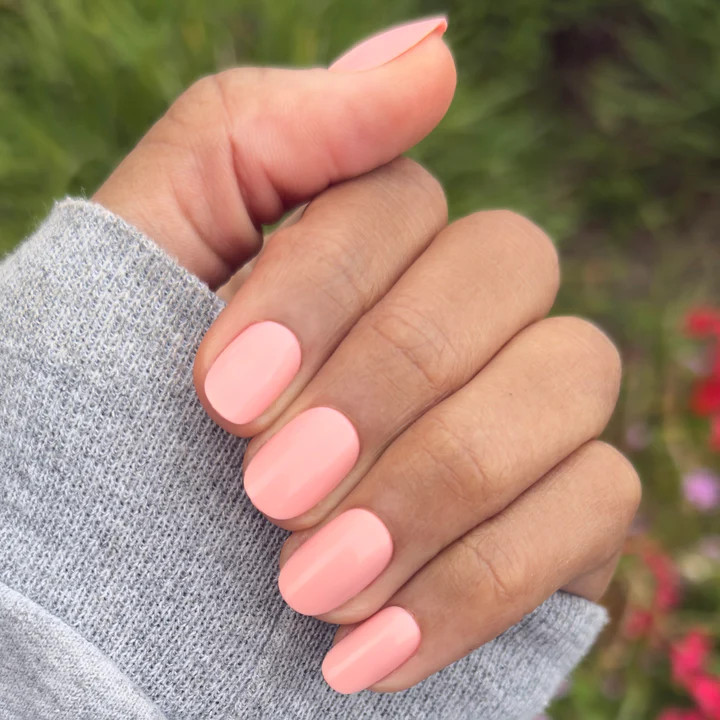 Carnation | Short | Round - Tab Press-On | Olive & June