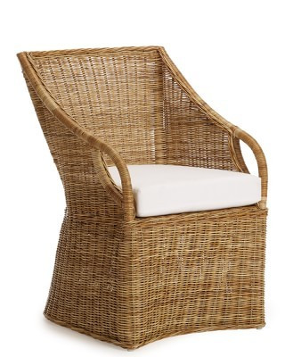 Farallon Armchair | Williams-Sonoma
