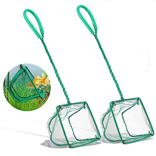 1 Pcs Aquarium Fish Nets, DSSPORT 4 Inch Small Mesh Fish Catch Nets with Plastic Handle Green | Amazon (US)