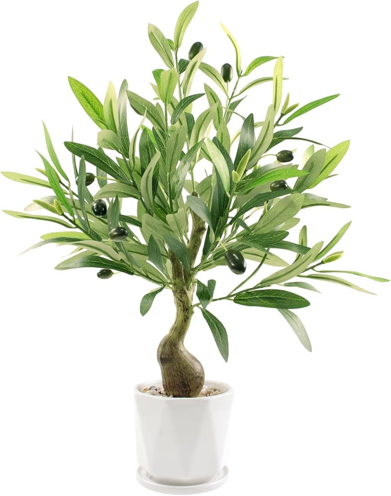 20" Artificial Olive Tree with Pot, Faux Green Potted Plants Indoor Fake Greenery Olive Branches ... | Amazon (US)