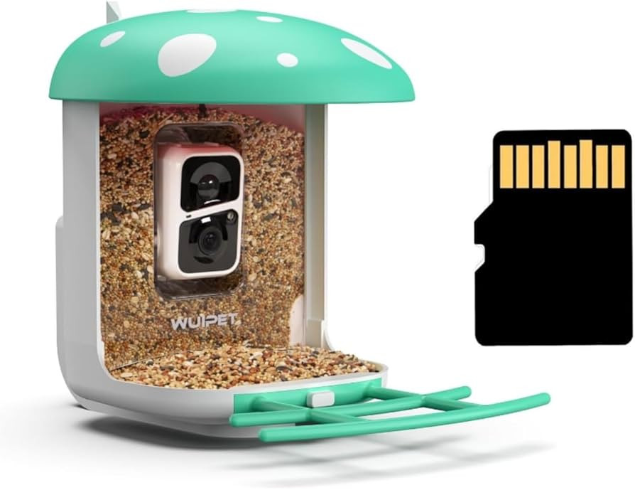 Bird Feeder with Camera Green+64G SD Card | Amazon (US)