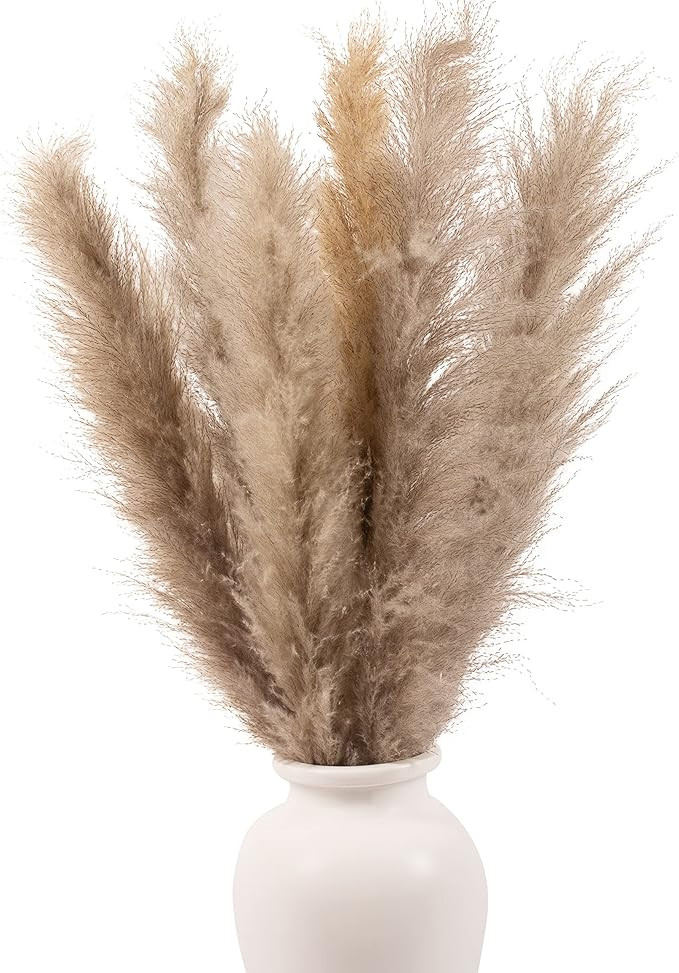 Sunshine Marigolds Large Pampas Grass 2021 Best Award Jumbo Extra-Fluffy Plumes Room Decor Dried ... | Amazon (US)