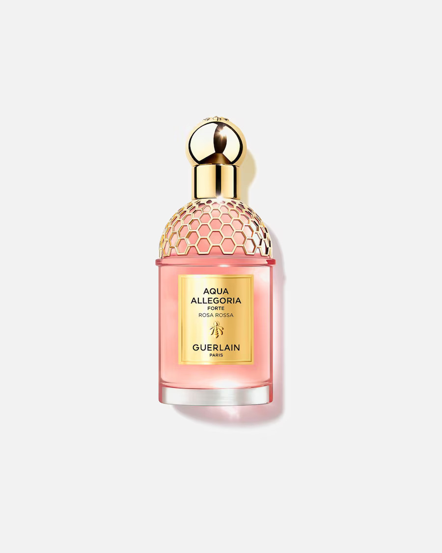 Rosa Rossa Forte | Douglas (DE)