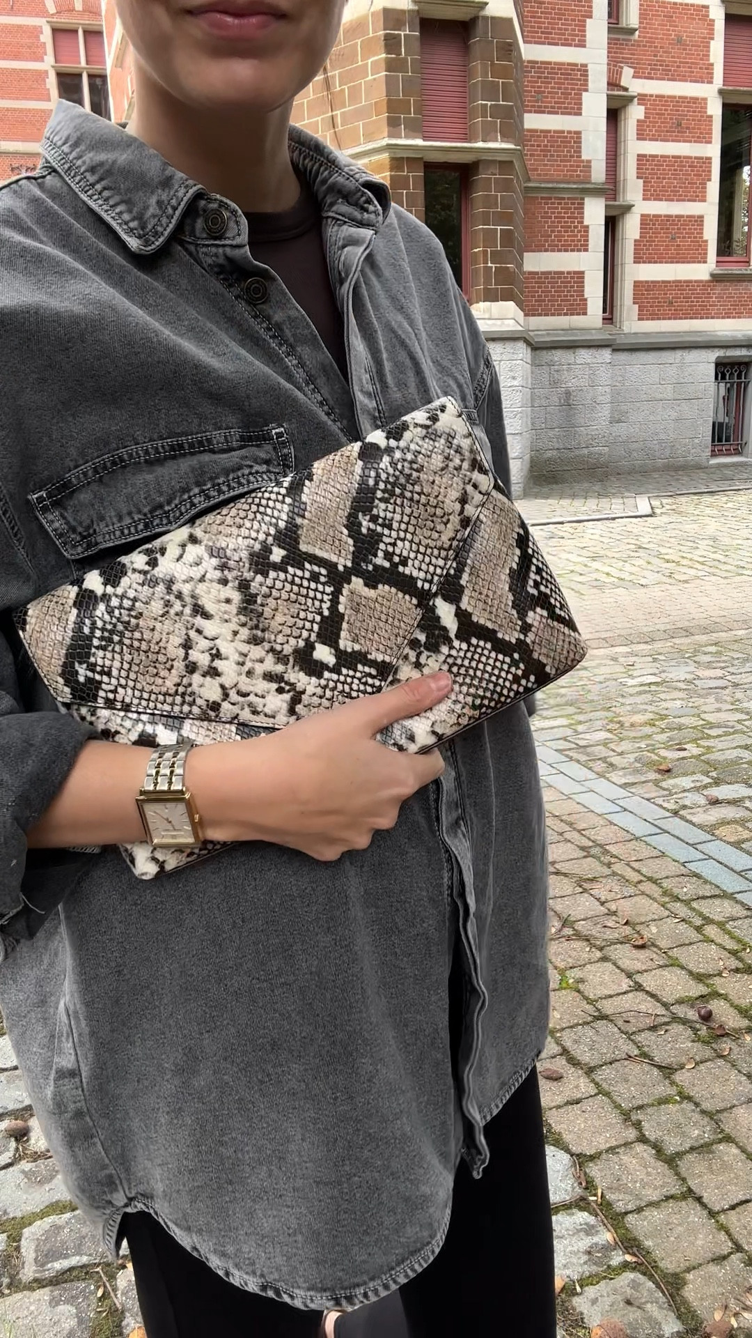 Snake clutch @zara 🐍🐍

Other items linked 

#LTKStyleTip #LTKSeasonal #LTKVideo