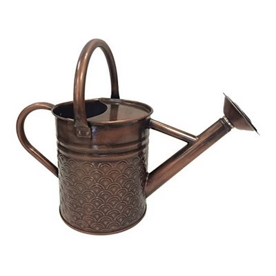 Gardener Select Metal Watering Can with Handles, Copper, 1 Gallon | Target