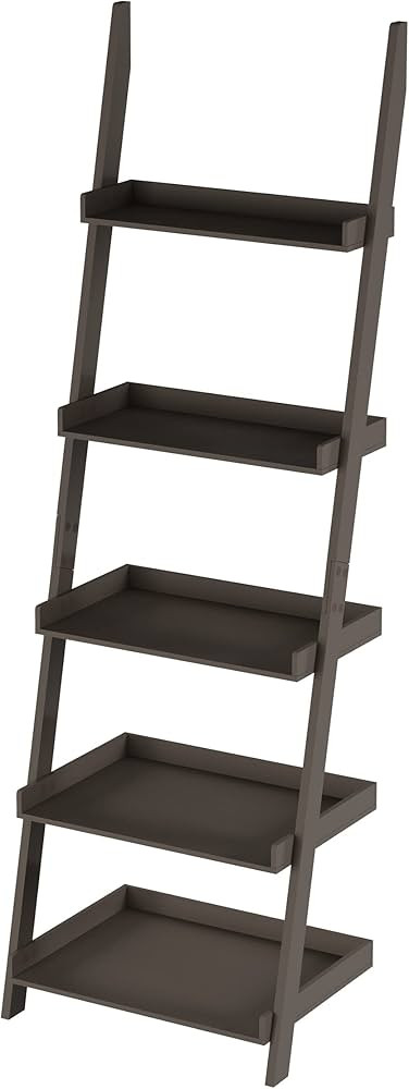 Lavish Home Ladder Bookshelf- 5 Tier Leaning Decorative Shelves for Display, Gray | Amazon (US)