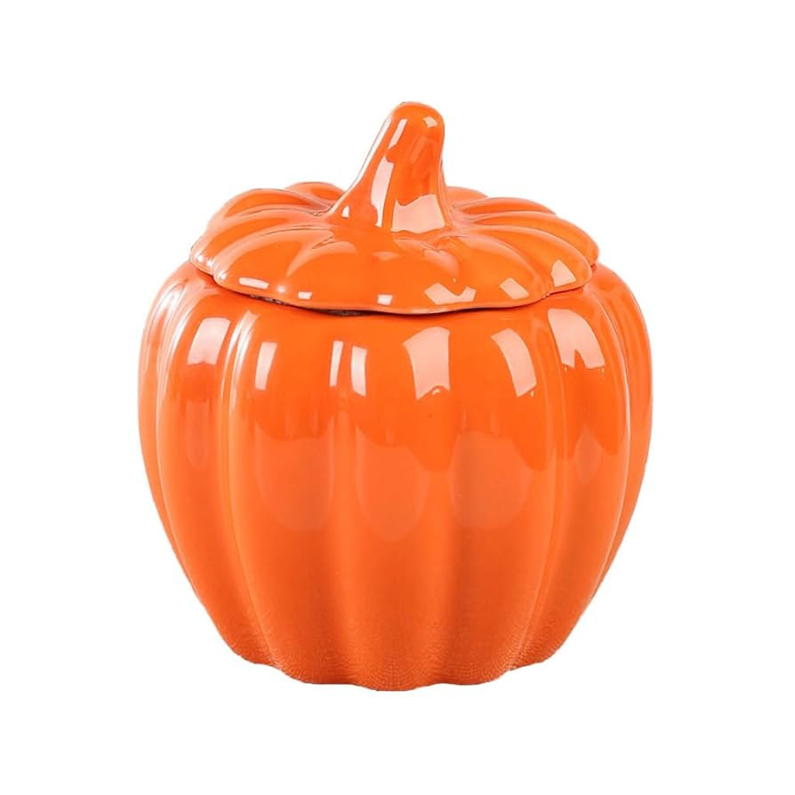 WAIT FLY Pumpkin Shape Airtight Ceramic Canister Tea Canister Tea Storage Food Storage Jar for Te... | Amazon (US)