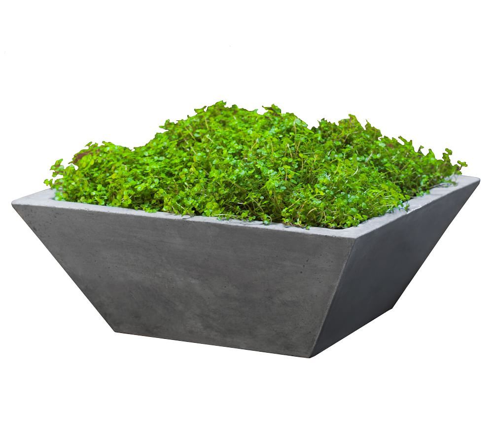 Calloway Fiber Cement Square Planter | Pottery Barn (US)