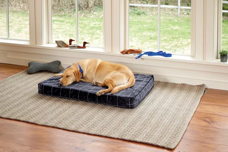 ToughChew® Memory Foam Platform Dog Bed | Orvis (US)