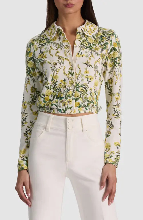 ALICE + OLIVIA Carson Floral Cotton Blend Cardigan with Removable Collar in Fresh Air Butter at Nordstrom, Size Medium | Nordstrom