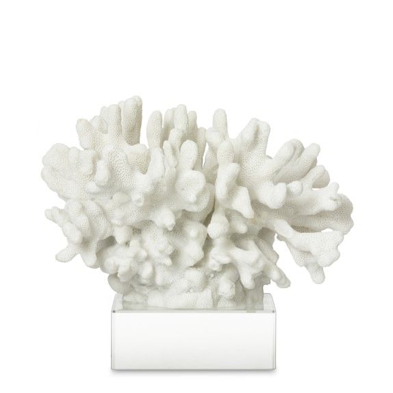 White Coral On Glass Stand, Branch | Williams-Sonoma