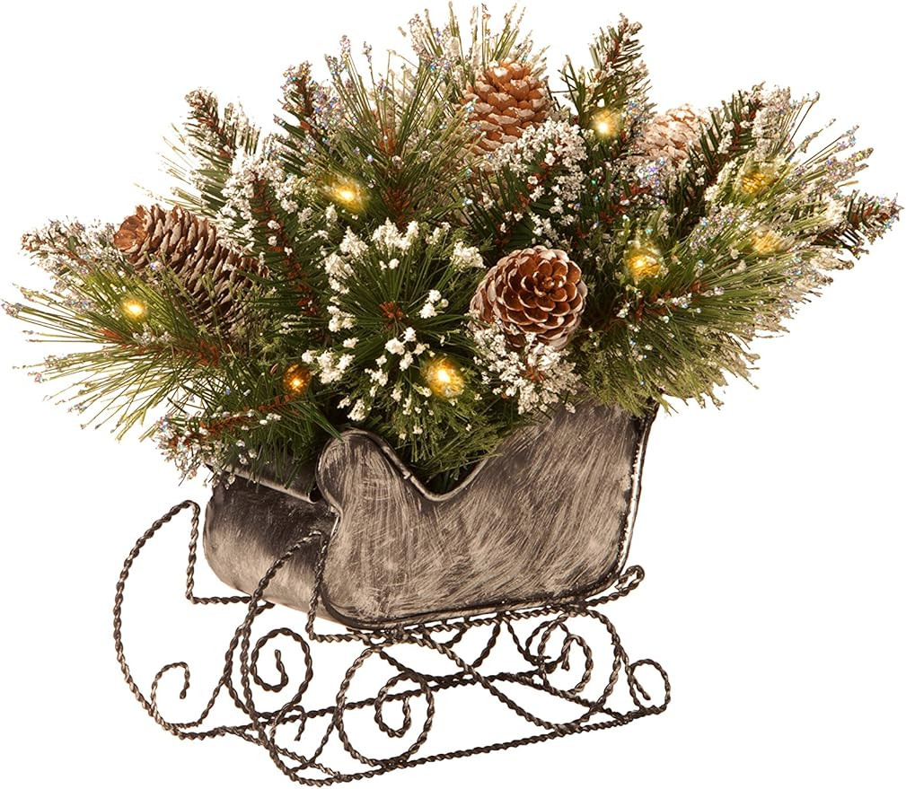 National Tree 10 Inch Glittery Bristle Pine Sleigh with White Cones and 15 Battery Operated Warm ... | Amazon (US)