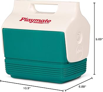 Igloo 4 Qt Playmate Mini Hardsided Lunch Box Cooler | Amazon (US)