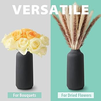 Ceramic Vase in Nordic Style, Deco Vase Large for Pampas Grass as Boho Deco, Vase Black Matt 8 in... | Amazon (US)