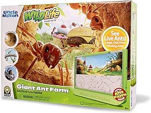 Uncle Milton Giant Ant Farm - Large Viewing Area - Care for Live Ants - Nature Learning Toy - Sci... | Amazon (US)