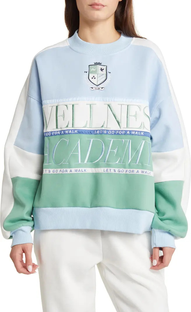 Varsity Wellness Academy Colorblock Embroidered Sweatshirt | Nordstrom